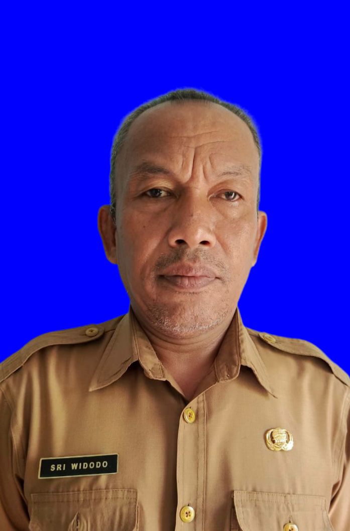 SRI WIDODO,S.Pd.SD